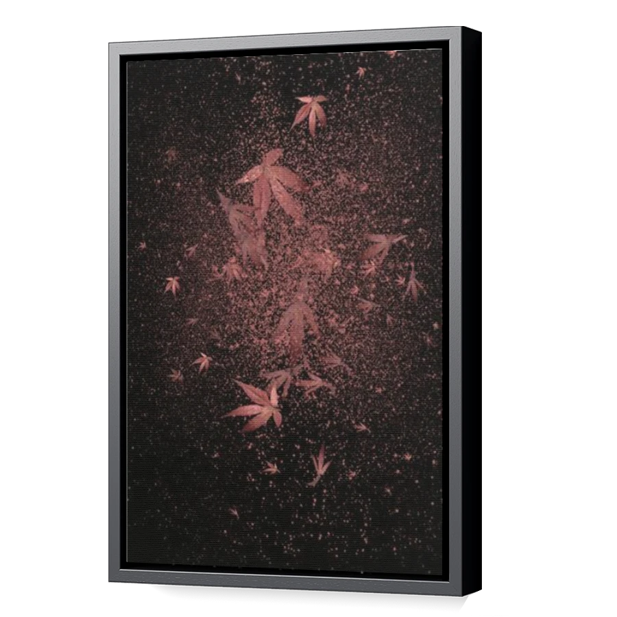 Thumbnail for Canvas - Black Floating Frame