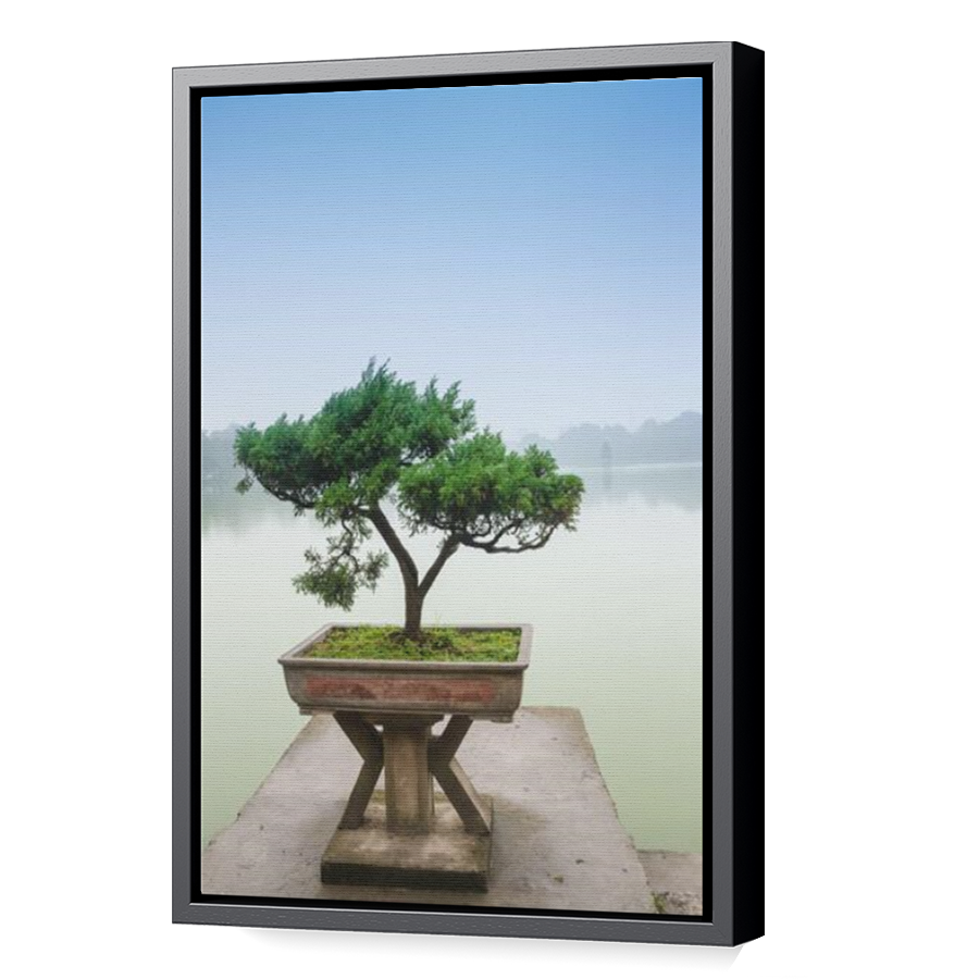 Thumbnail for Canvas - Black Floating Frame