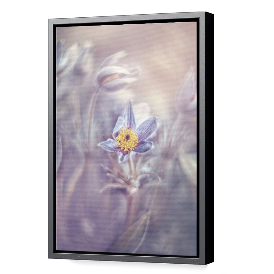 Thumbnail for Canvas - Black Floating Frame