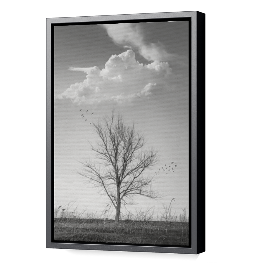 Thumbnail for Canvas - Black Floating Frame