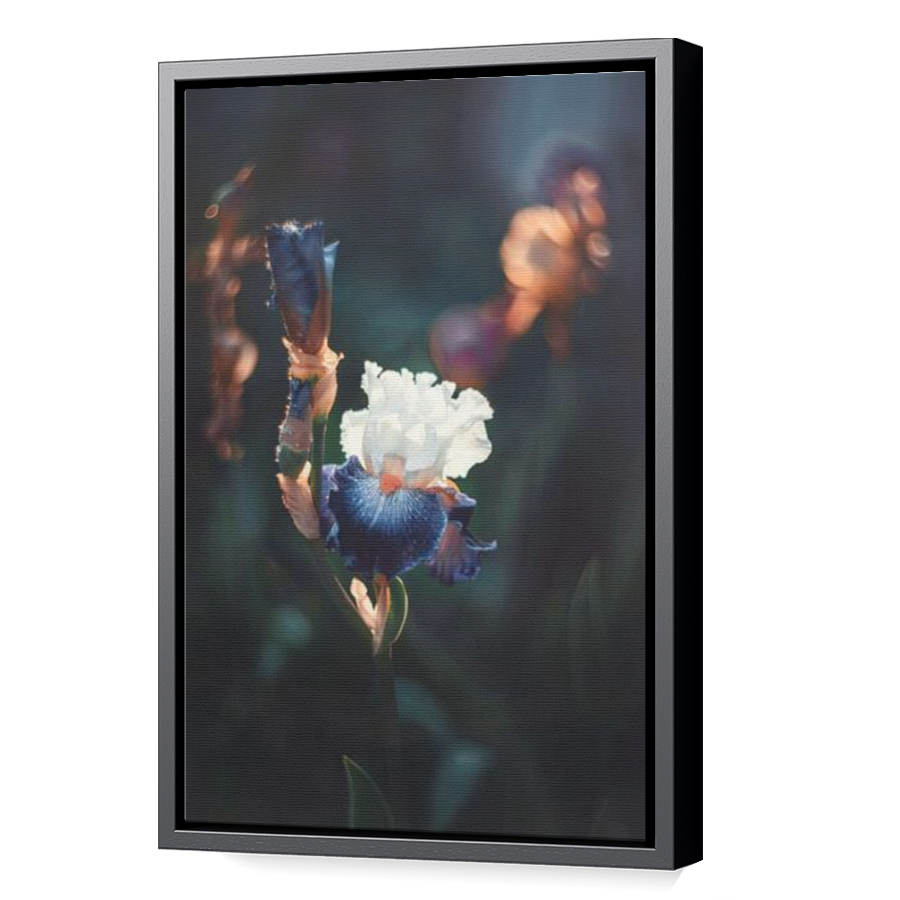 Thumbnail for Canvas - Black Floating Frame