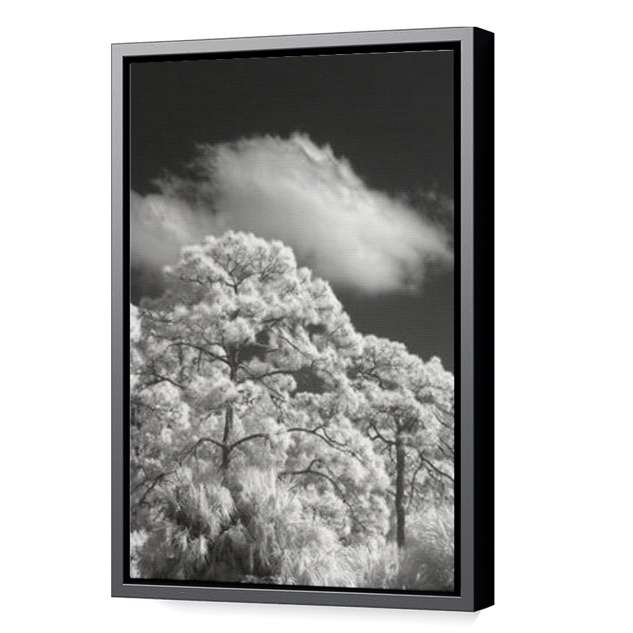 Thumbnail for Canvas - Black Floating Frame