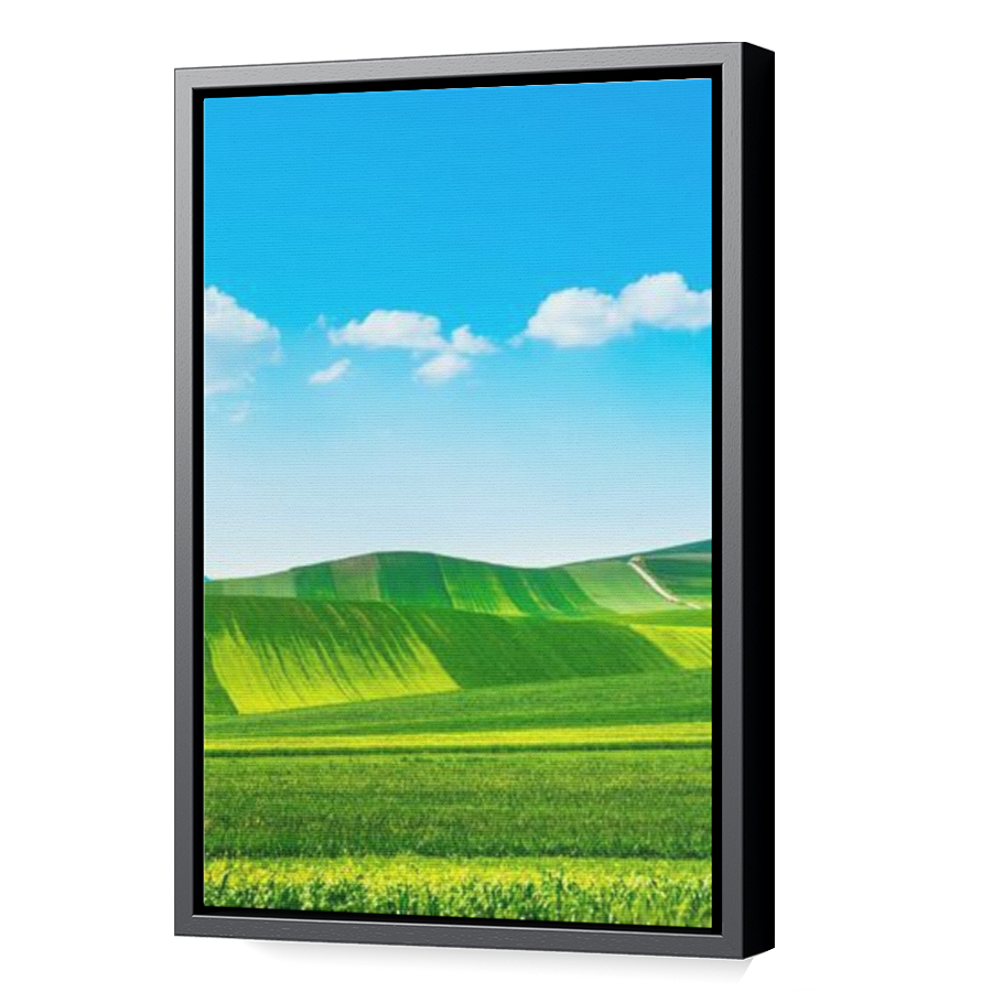Thumbnail for Canvas - Black Floating Frame