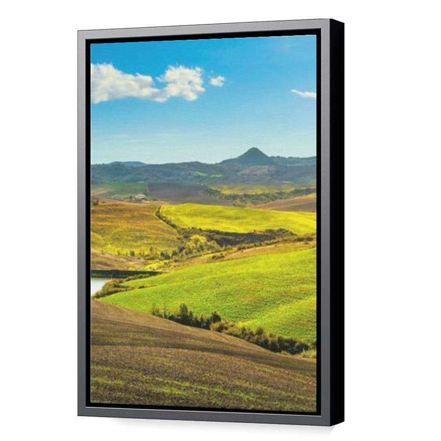 Thumbnail for Canvas - Black Floating Frame