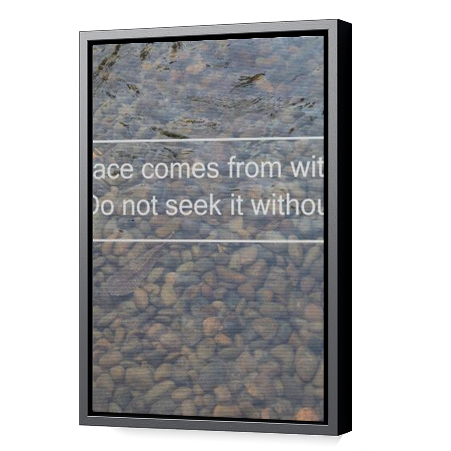 Thumbnail for Canvas - Black Floating Frame