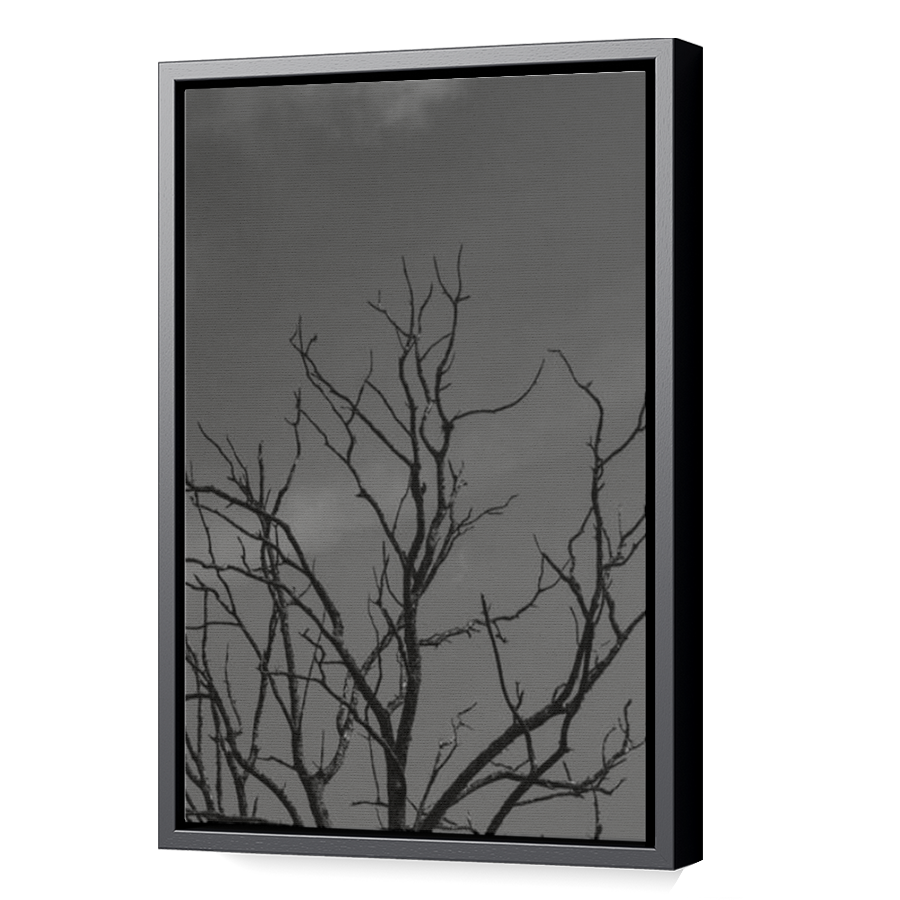 Thumbnail for Canvas - Black Floating Frame