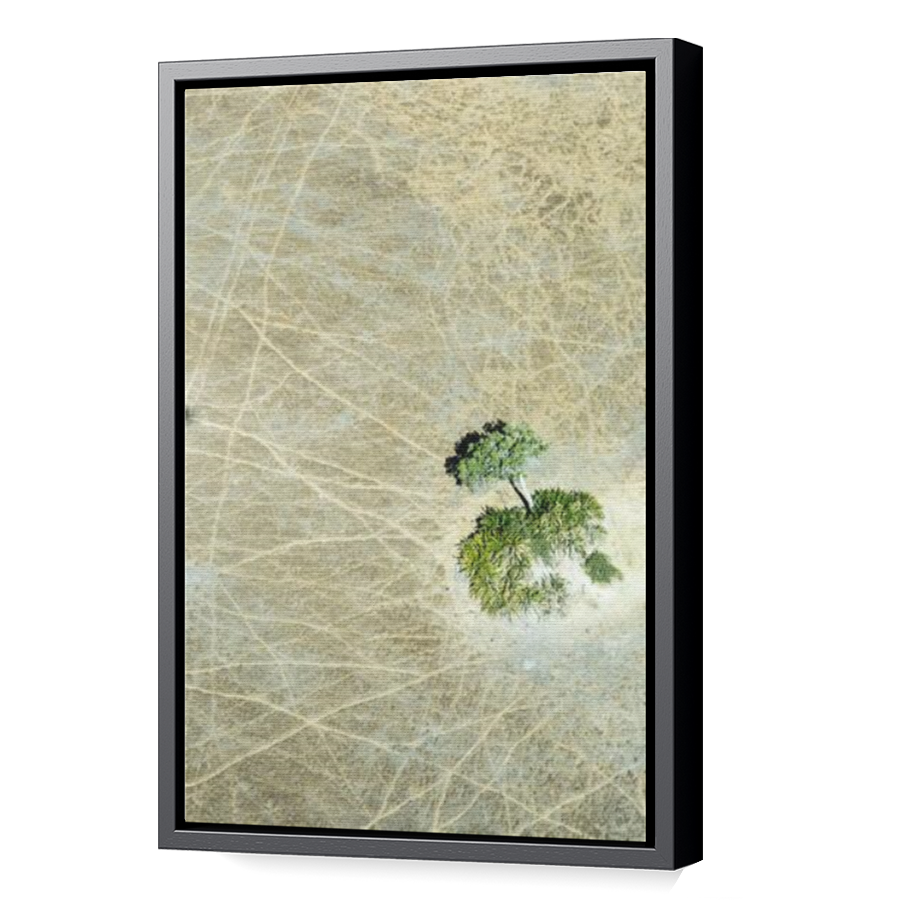 Thumbnail for Canvas - Black Floating Frame