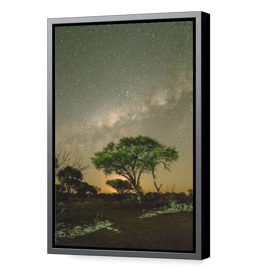 Thumbnail for Canvas - Black Floating Frame