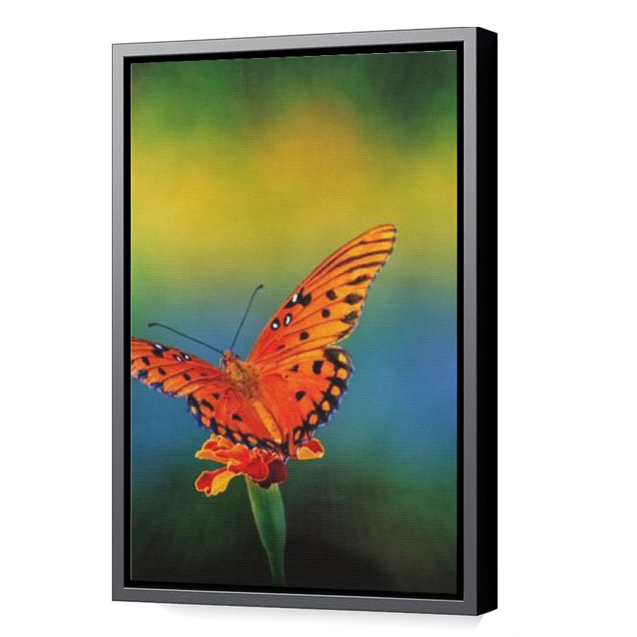 Thumbnail for Canvas - Black Floating Frame