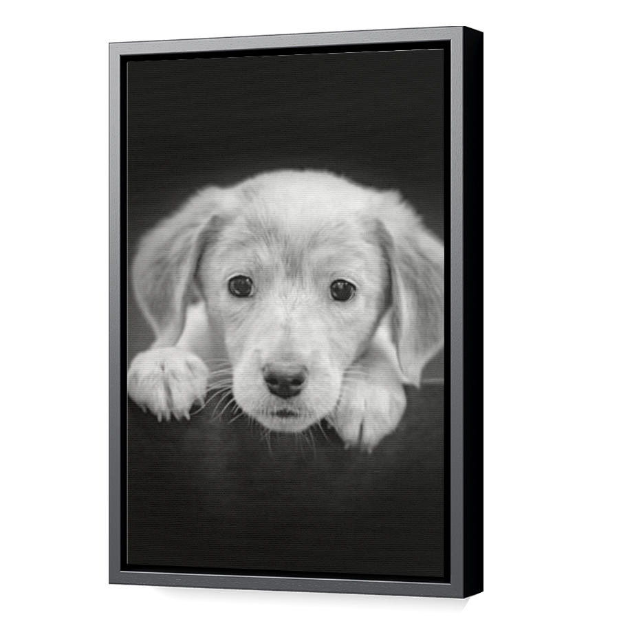 Thumbnail for Canvas - Black Floating Frame