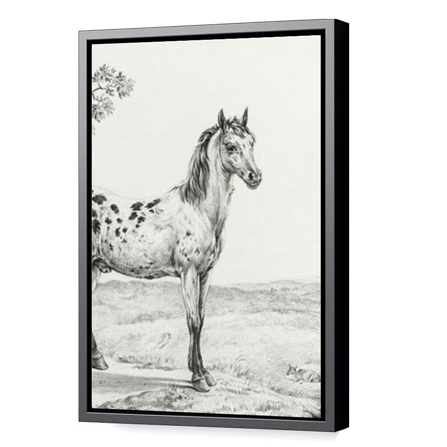 Thumbnail for Canvas - Black Floating Frame