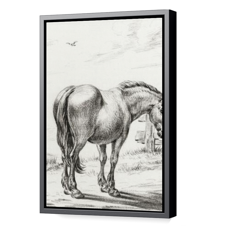 Thumbnail for Canvas - Black Floating Frame