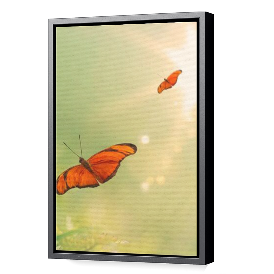 Thumbnail for Canvas - Black Floating Frame