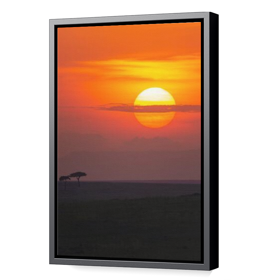 Thumbnail for Canvas - Black Floating Frame