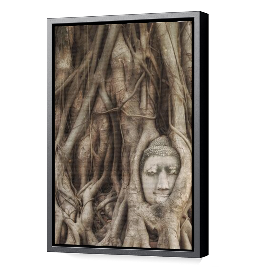 Thumbnail for Canvas - Black Floating Frame