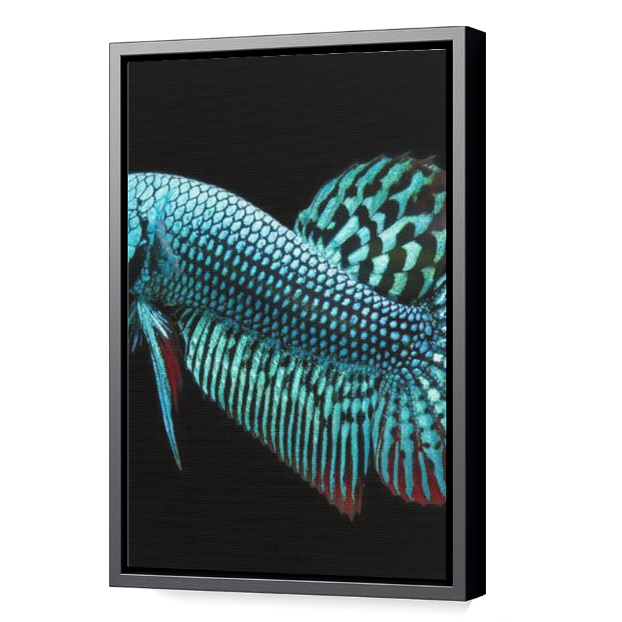 Thumbnail for Canvas - Black Floating Frame