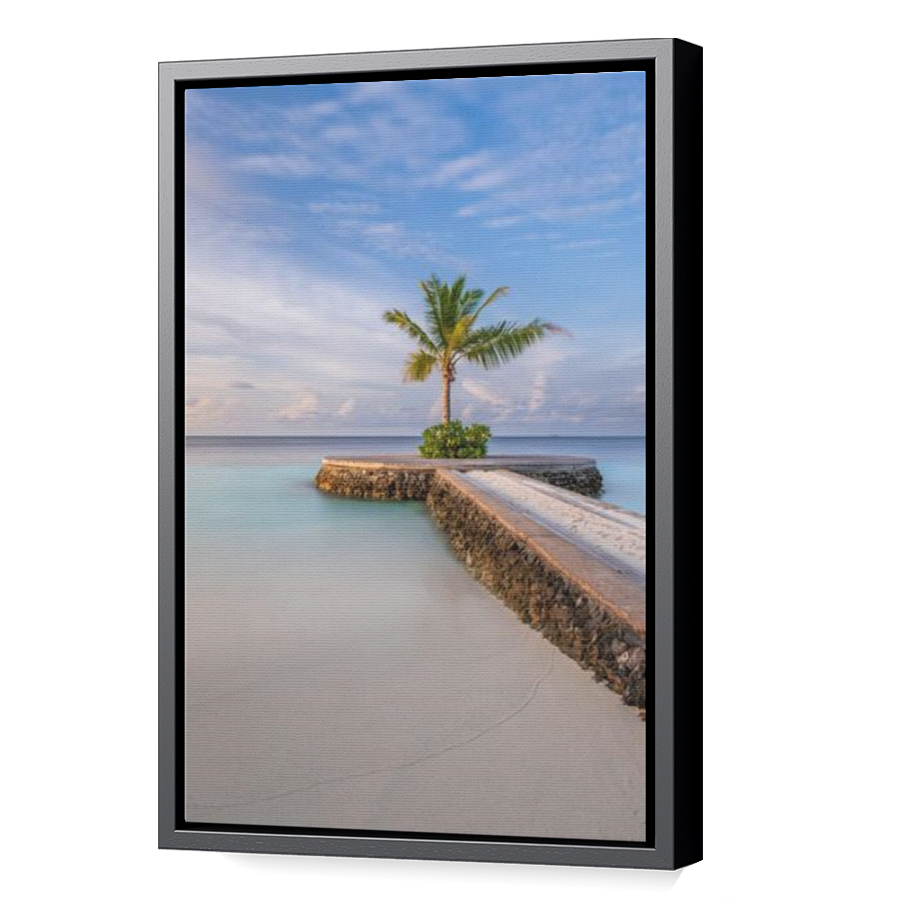 Thumbnail for Canvas - Black Floating Frame