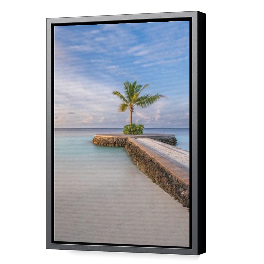 Thumbnail for Canvas - Black Floating Frame