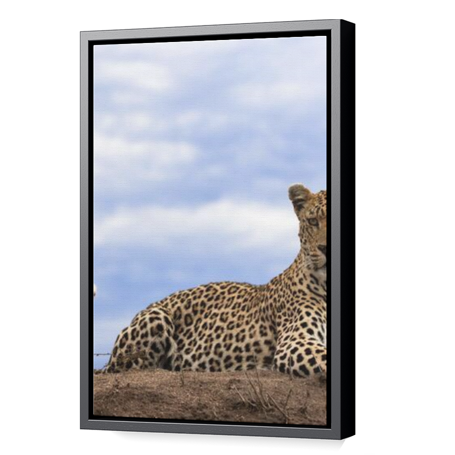 Thumbnail for Canvas - Black Floating Frame