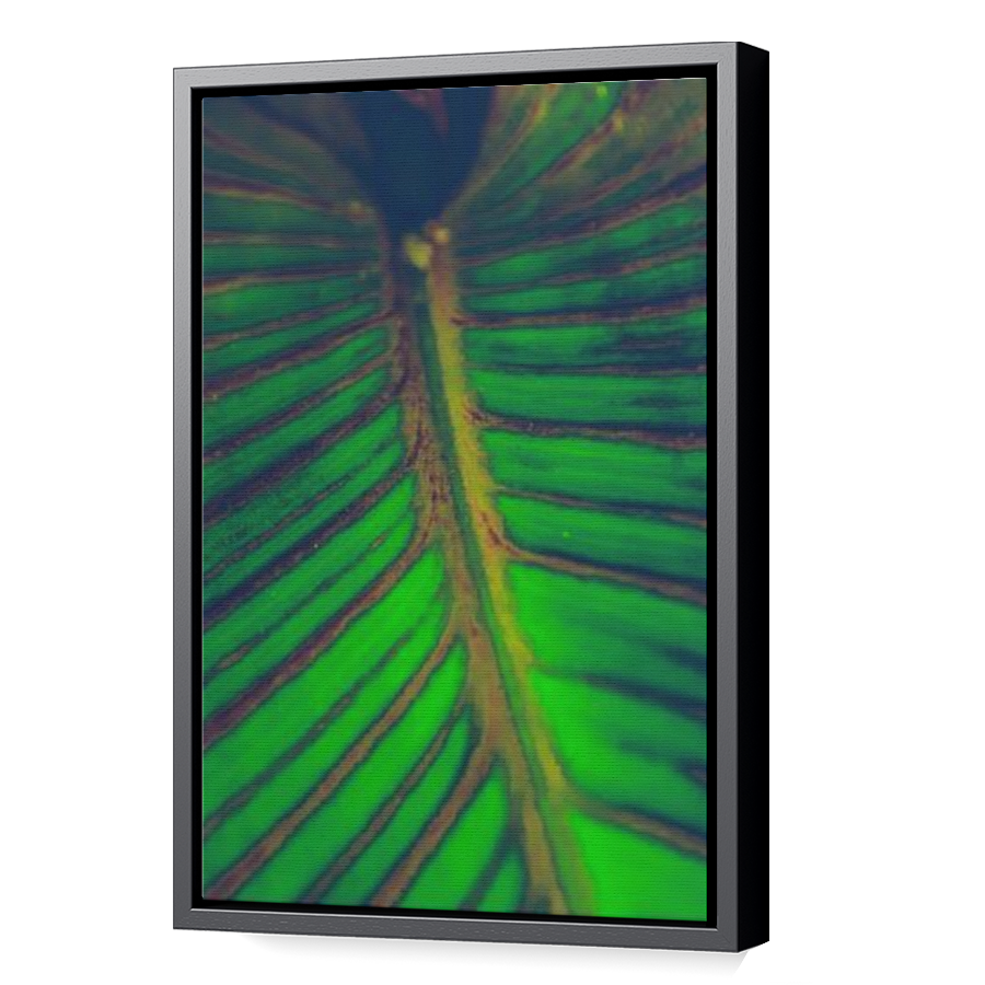 Thumbnail for Canvas - Black Floating Frame