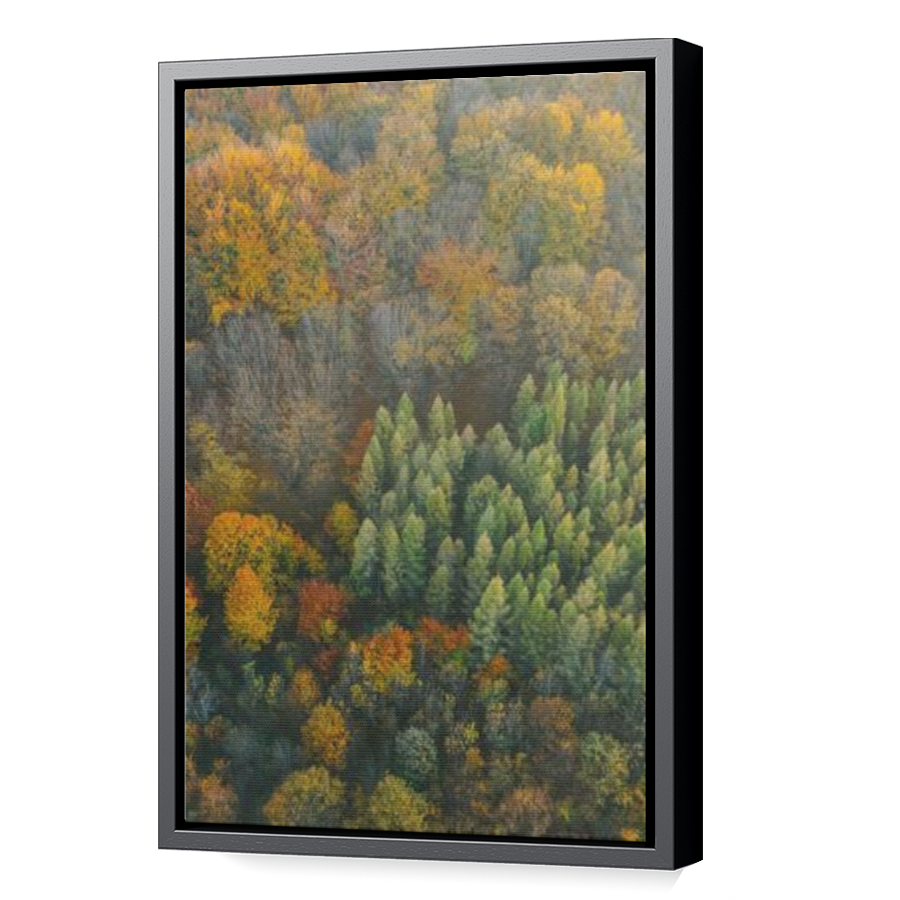 Thumbnail for Canvas - Black Floating Frame
