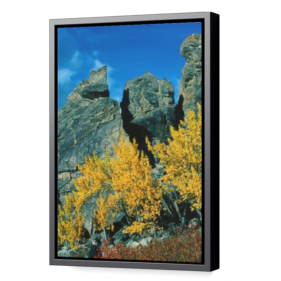 Thumbnail for Canvas - Black Floating Frame