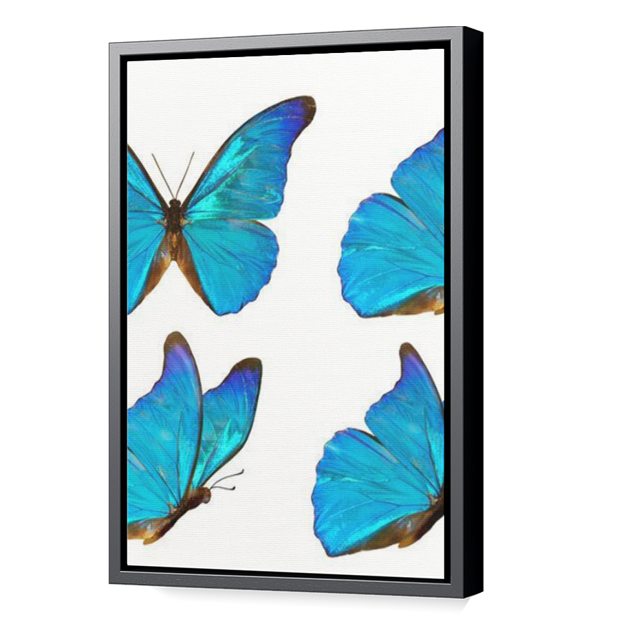 Thumbnail for Canvas - Black Floating Frame