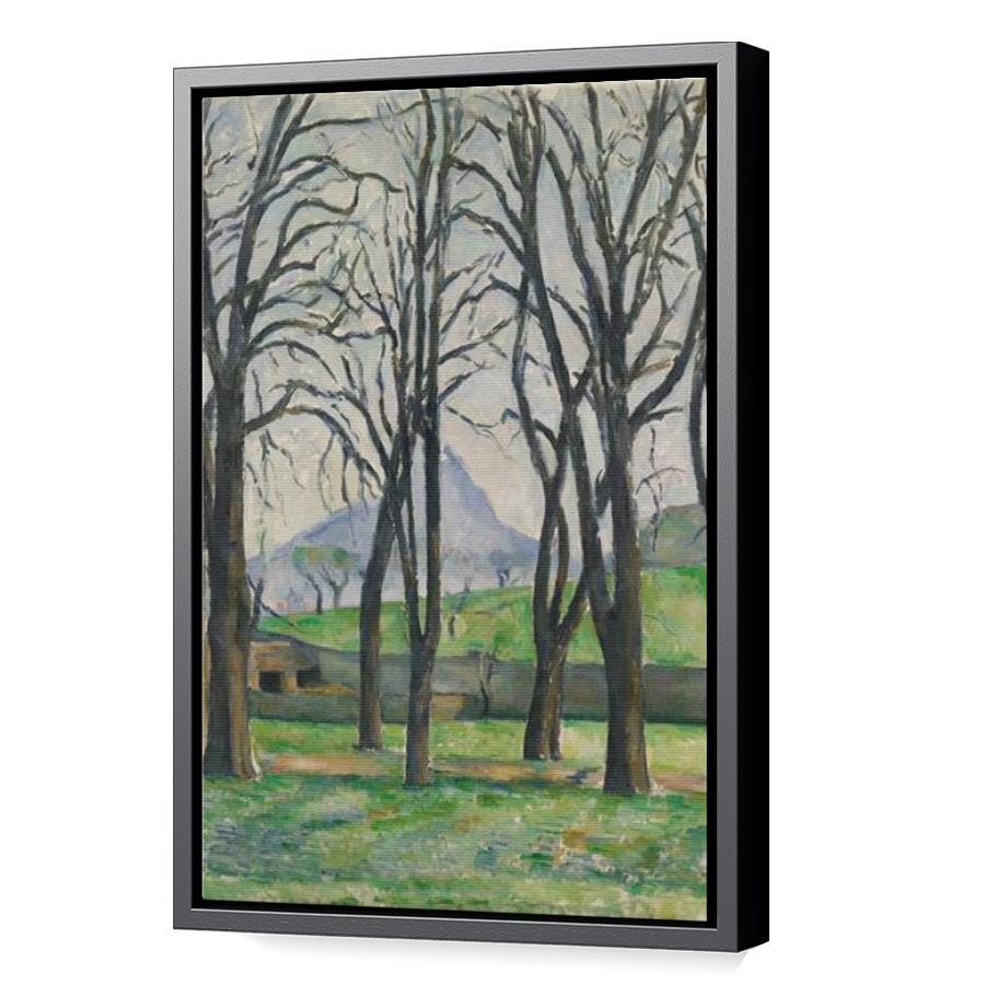 Thumbnail for Canvas - Black Floating Frame