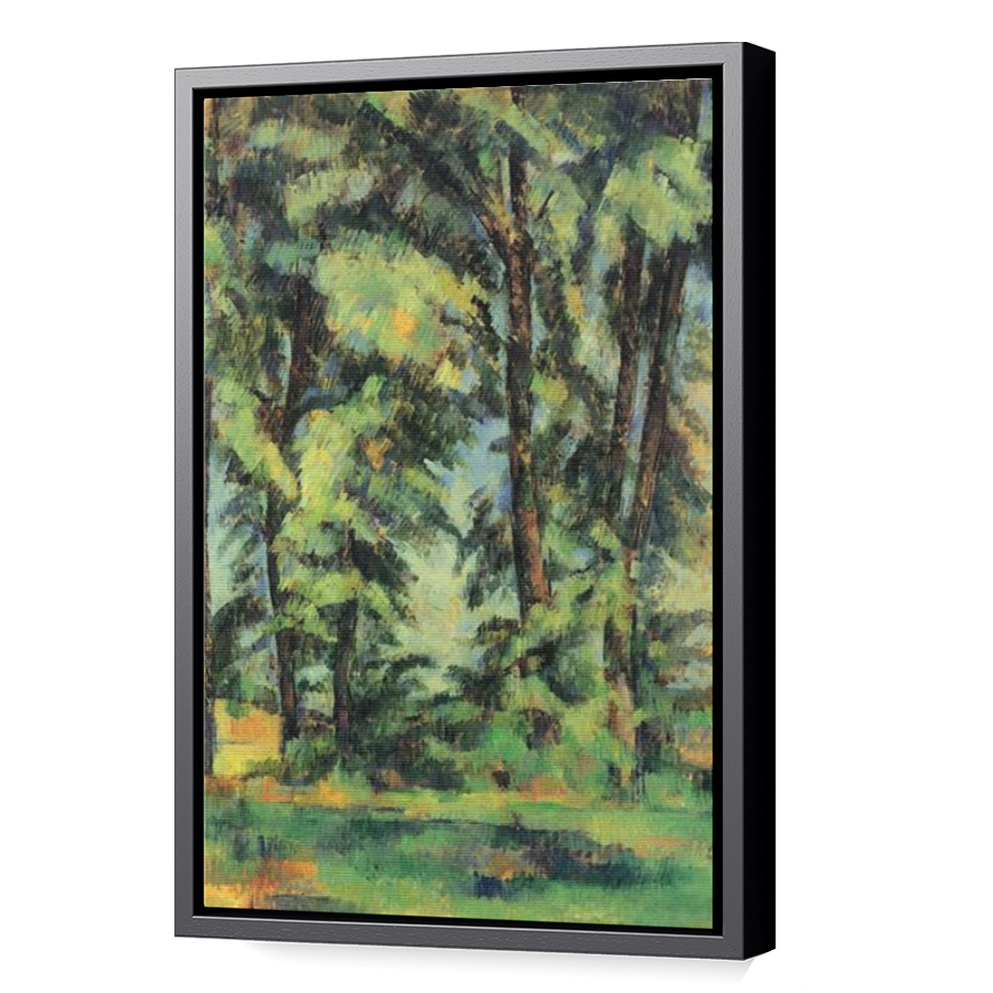 Thumbnail for Canvas - Black Floating Frame