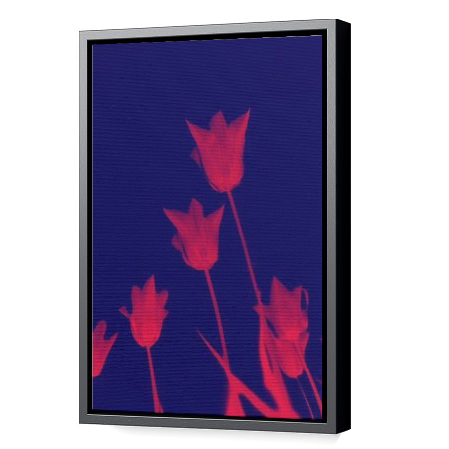 Thumbnail for Canvas - Black Floating Frame