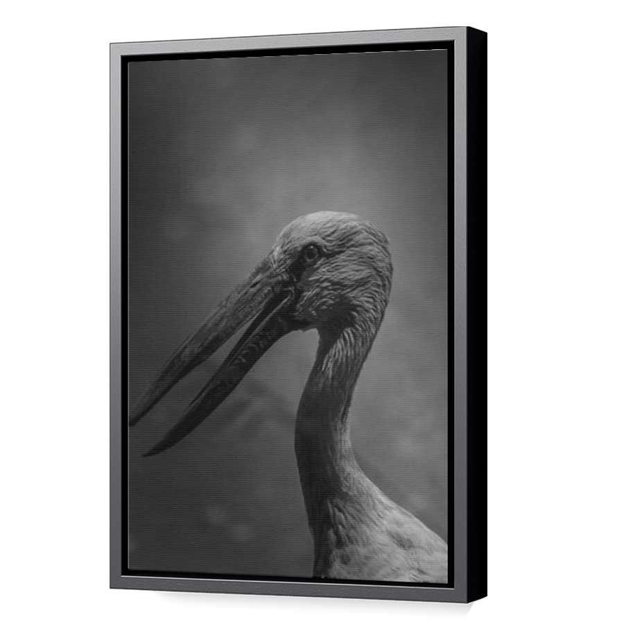 Thumbnail for Canvas - Black Floating Frame