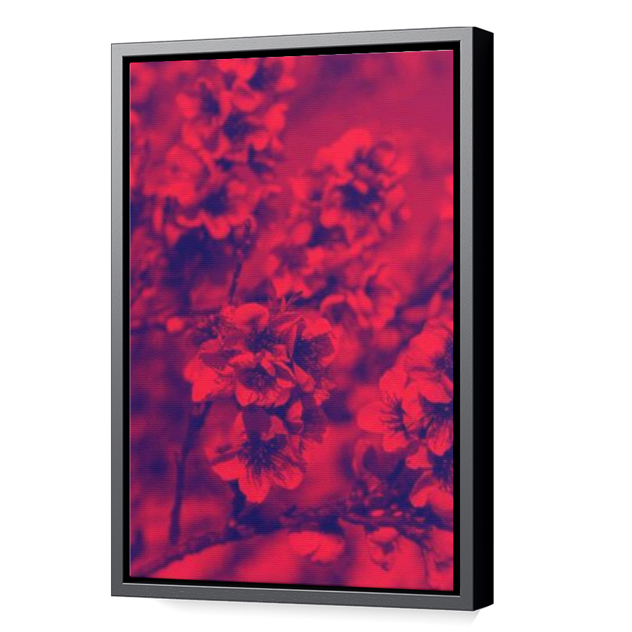 Thumbnail for Canvas - Black Floating Frame