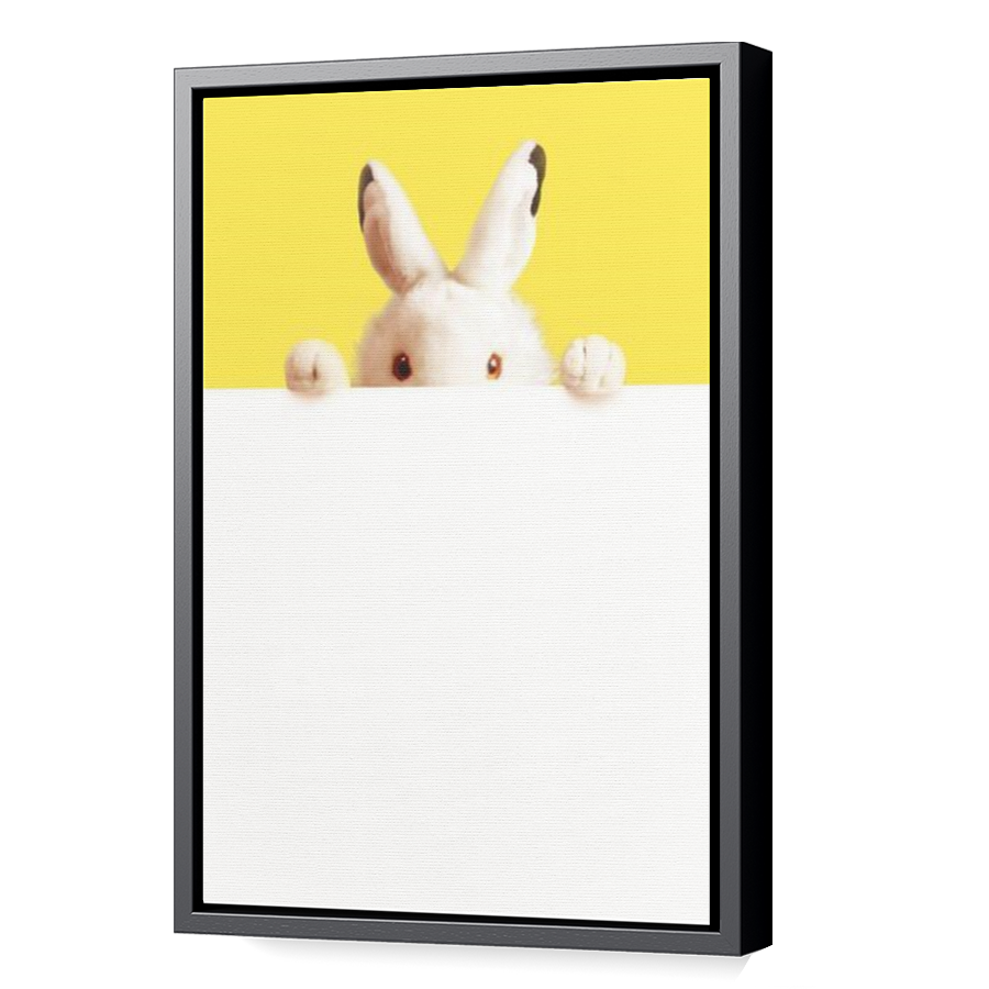 Thumbnail for Canvas - Black Floating Frame