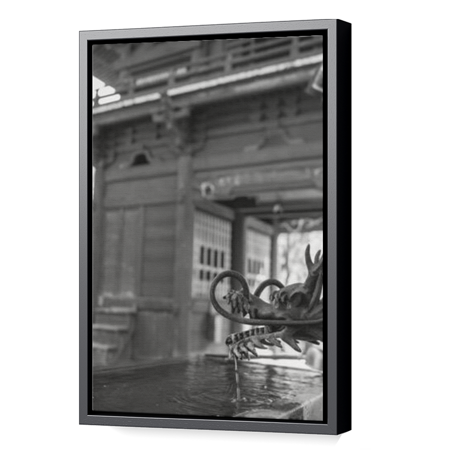 Thumbnail for Canvas - Black Floating Frame