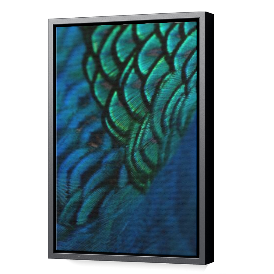 Thumbnail for Canvas - Black Floating Frame