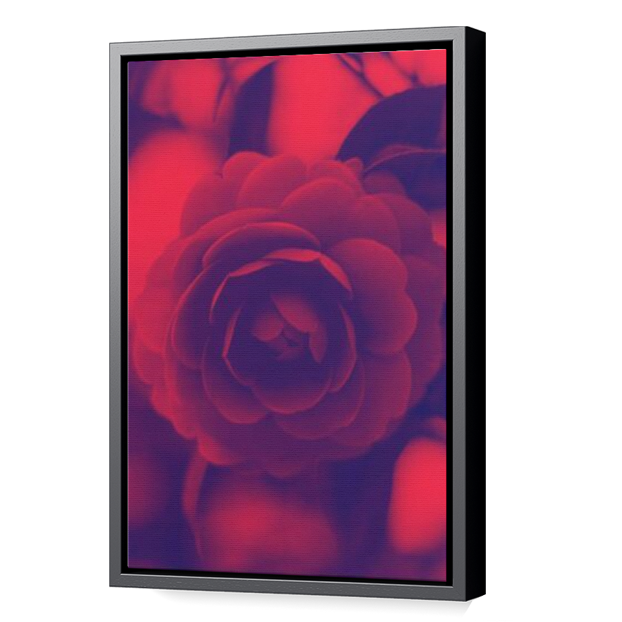 Thumbnail for Canvas - Black Floating Frame