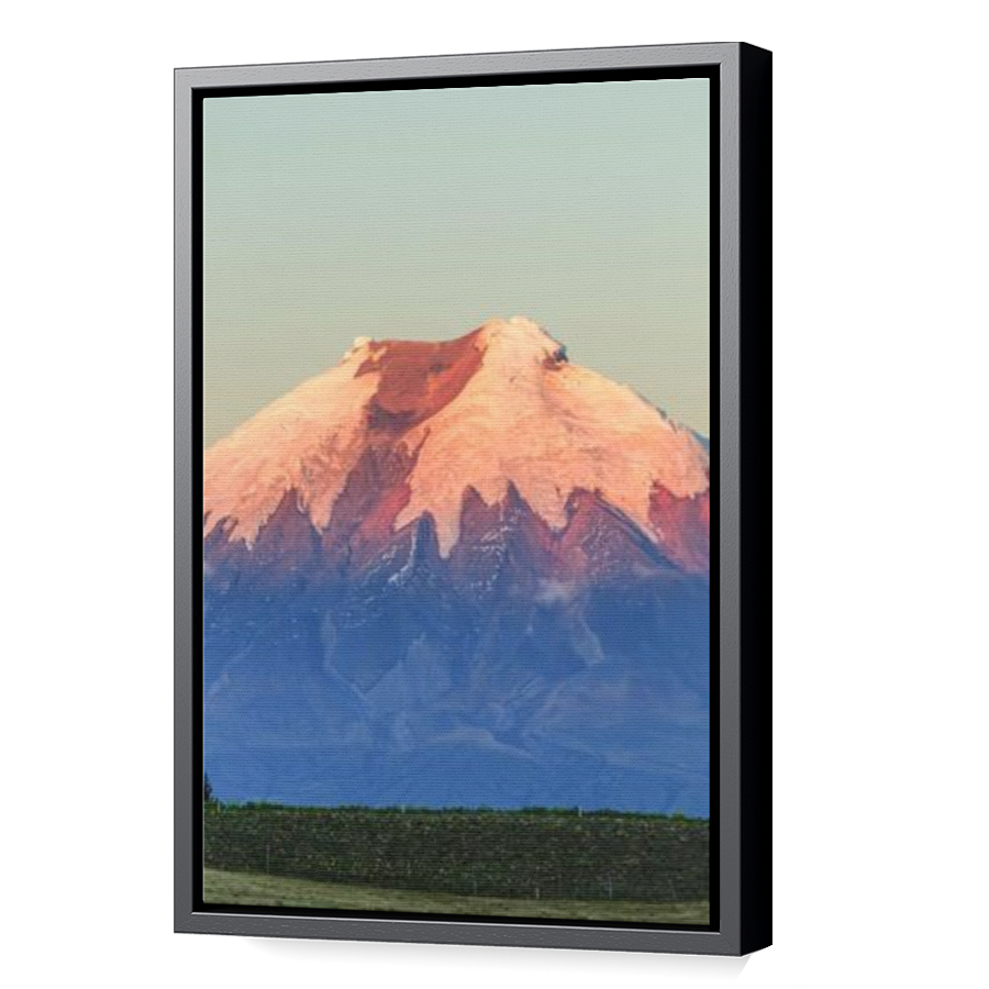 Thumbnail for Canvas - Black Floating Frame