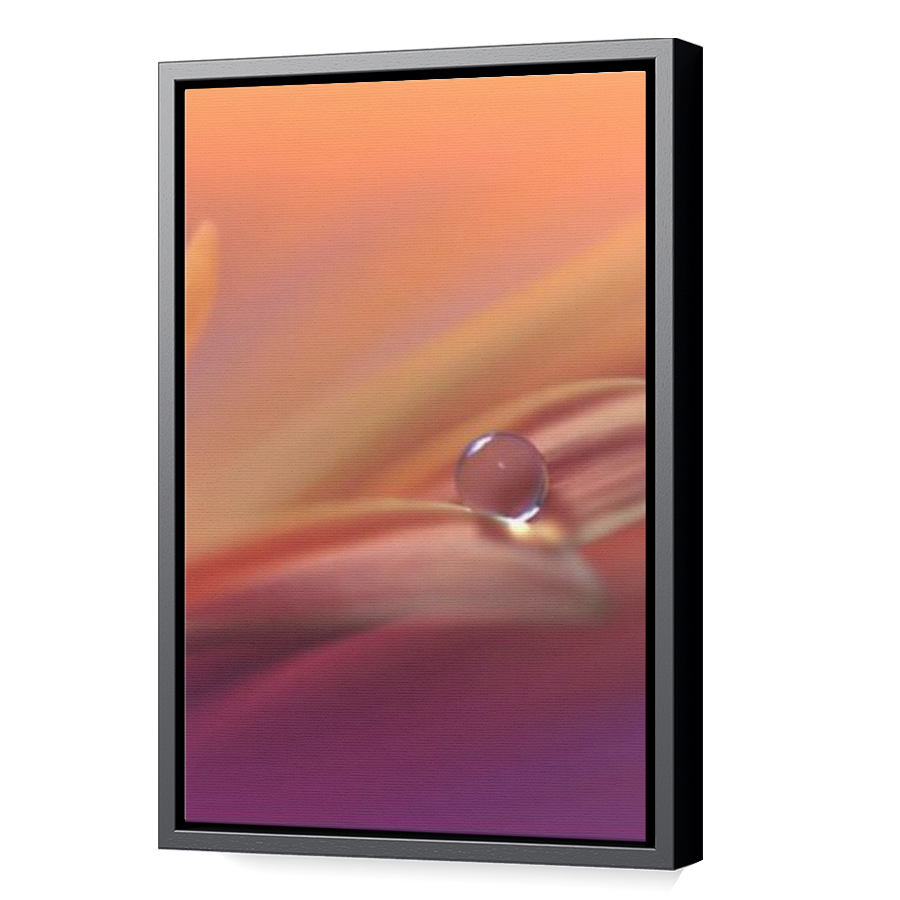 Thumbnail for Canvas - Black Floating Frame
