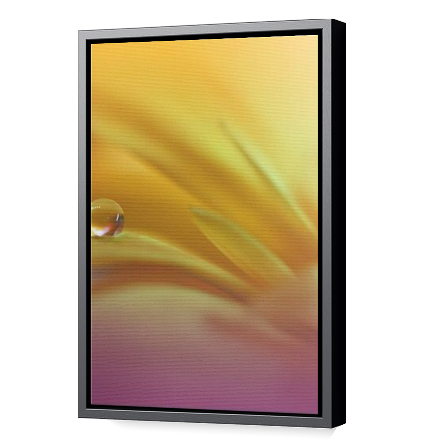 Thumbnail for Canvas - Black Floating Frame