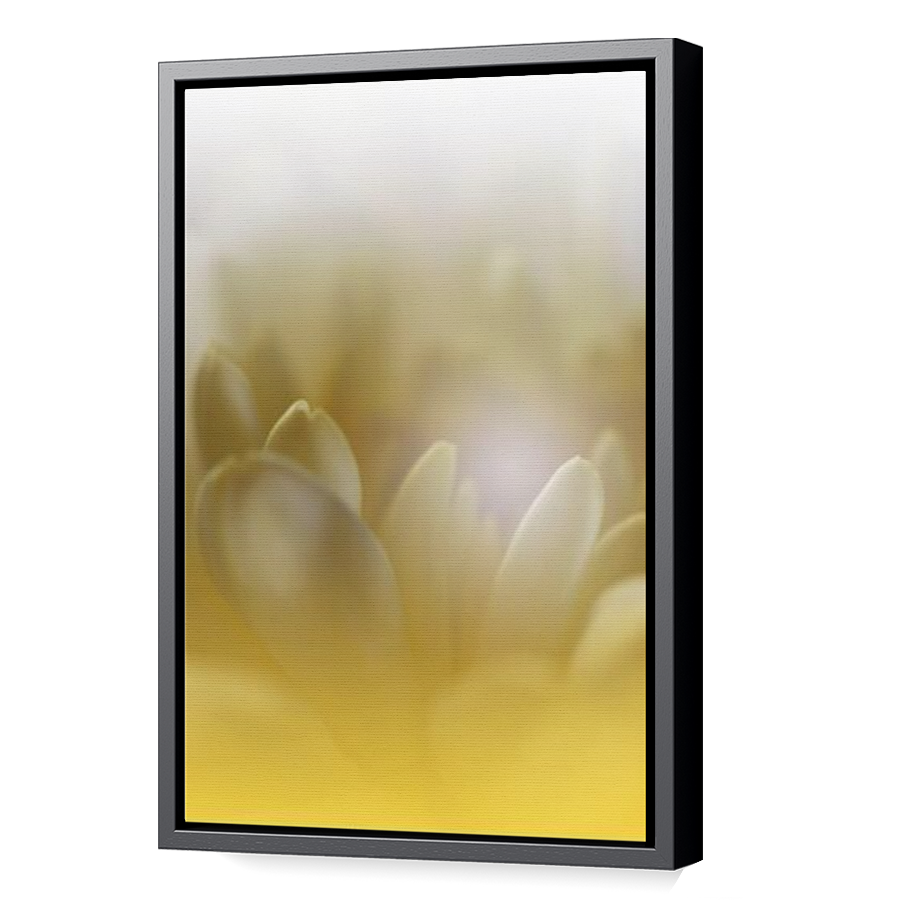 Thumbnail for Canvas - Black Floating Frame