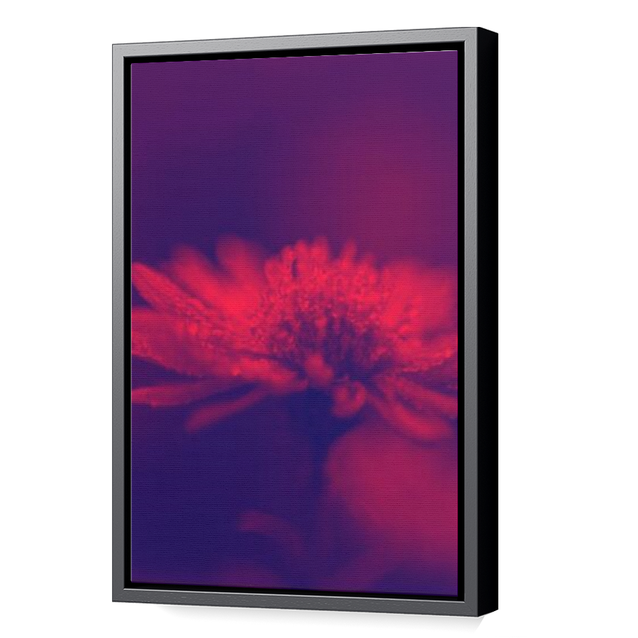 Thumbnail for Canvas - Black Floating Frame