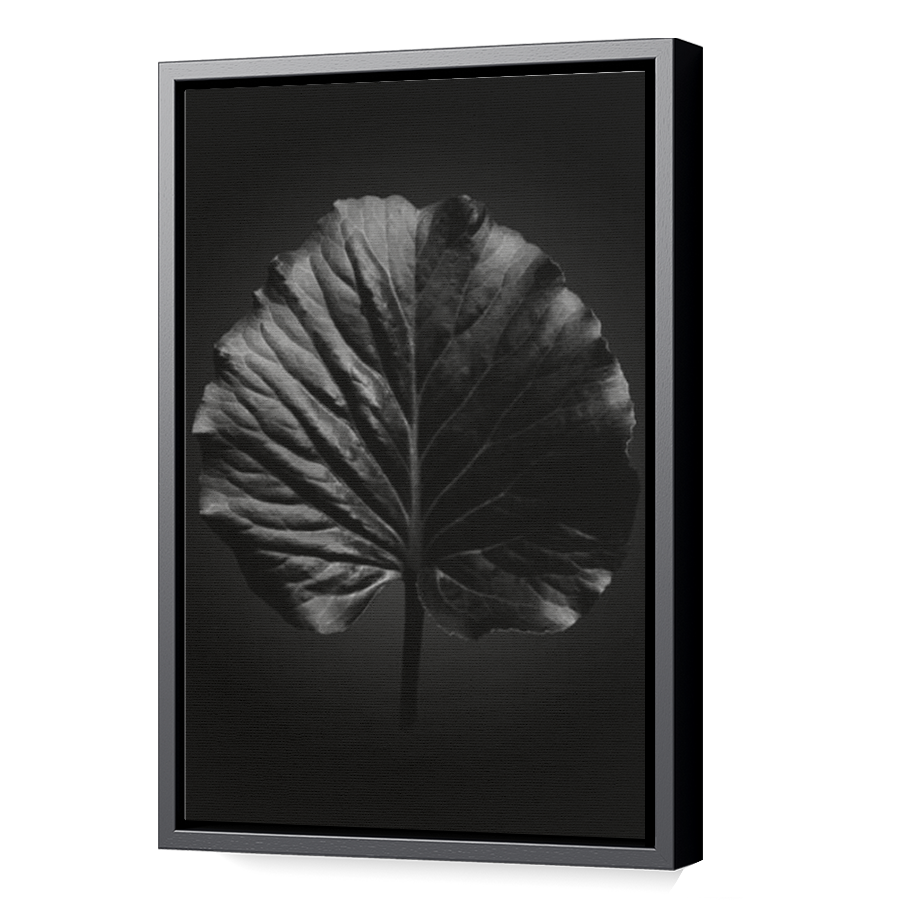 Thumbnail for Canvas - Black Floating Frame