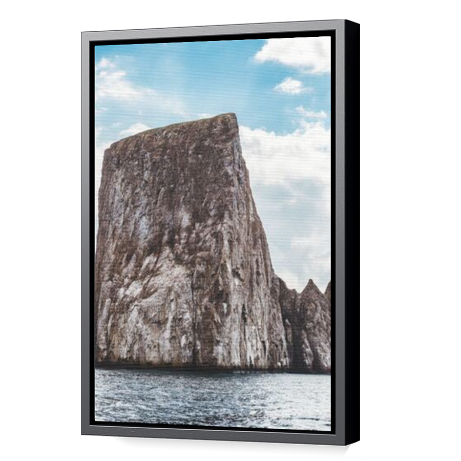Thumbnail for Canvas - Black Floating Frame