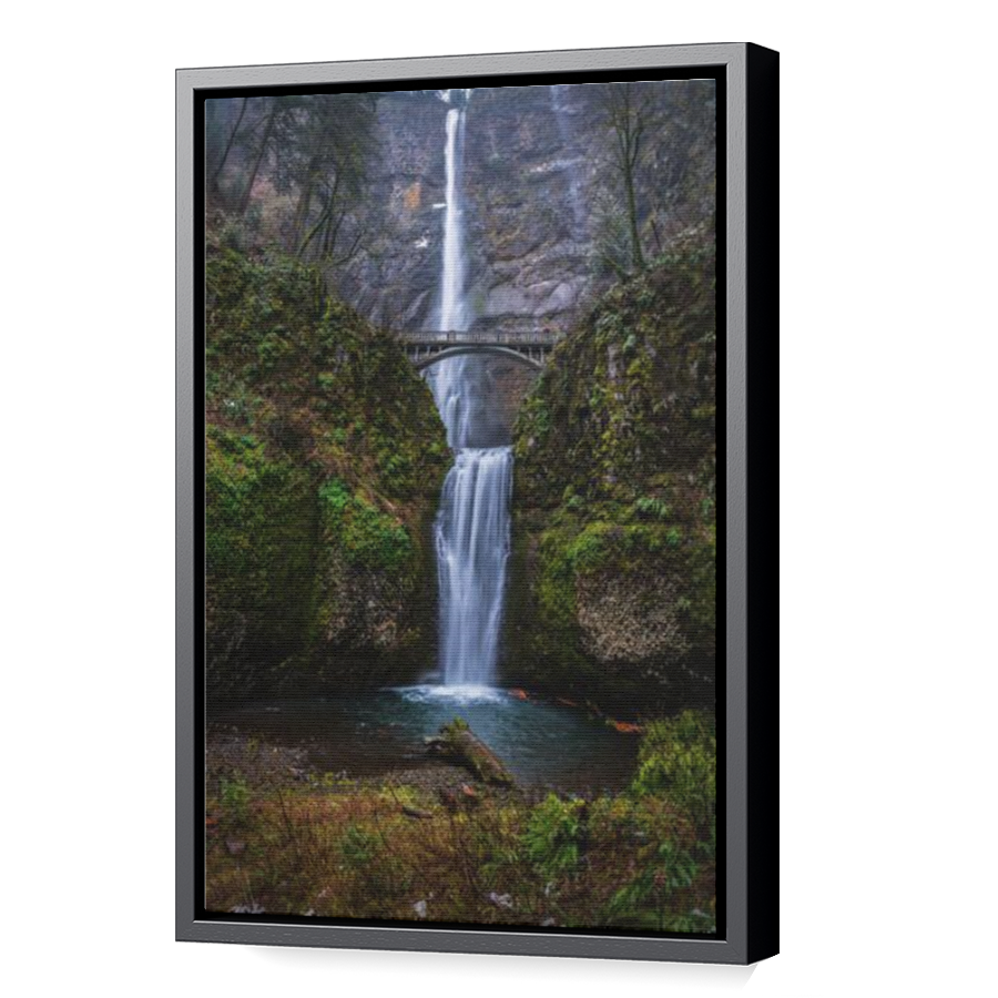 Thumbnail for Canvas - Black Floating Frame