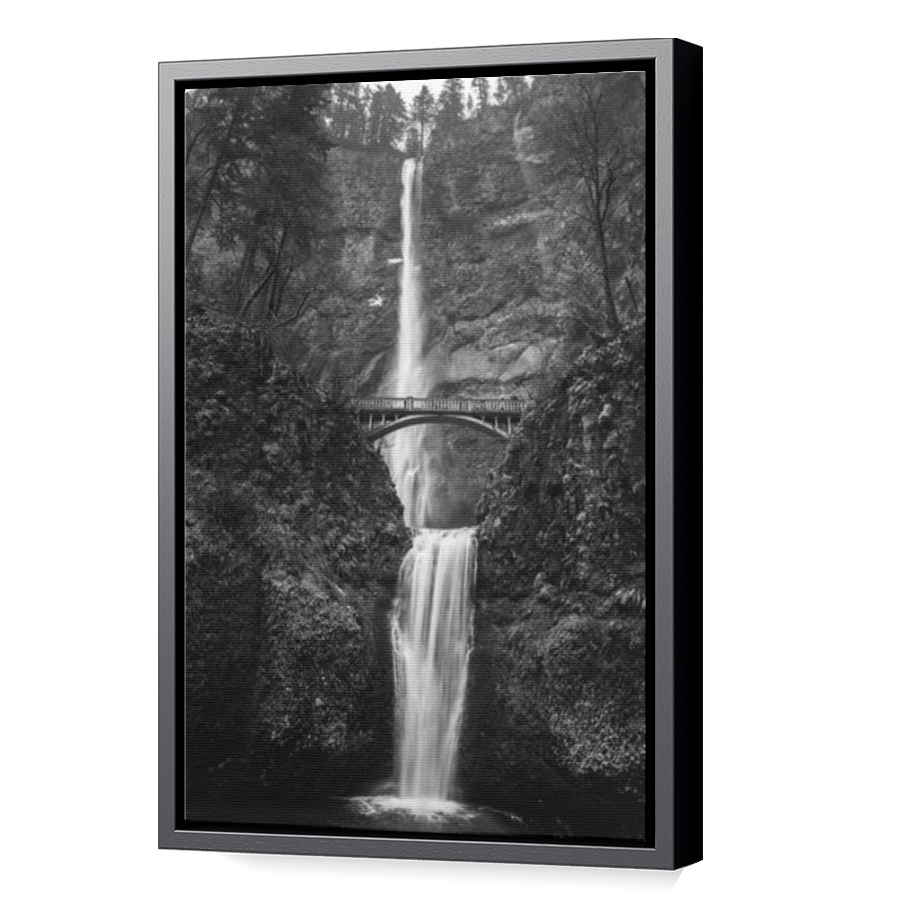 Thumbnail for Canvas - Black Floating Frame