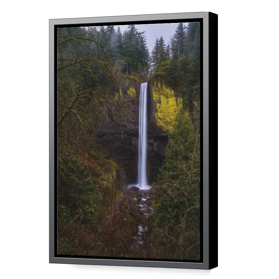 Thumbnail for Canvas - Black Floating Frame