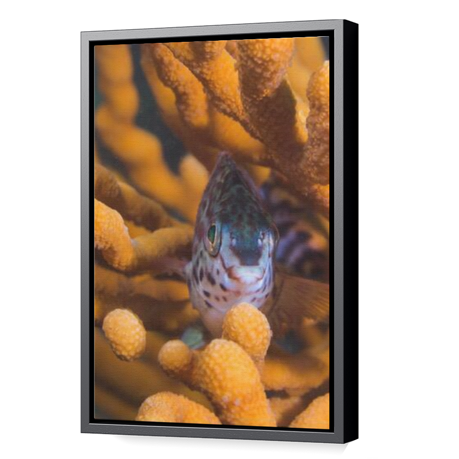 Thumbnail for Canvas - Black Floating Frame