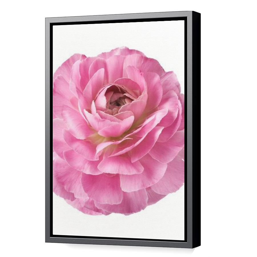 Thumbnail for Canvas - Black Floating Frame