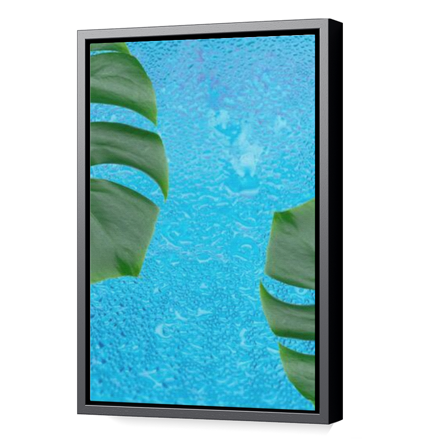 Thumbnail for Canvas - Black Floating Frame