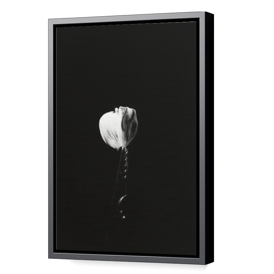 Thumbnail for Canvas - Black Floating Frame